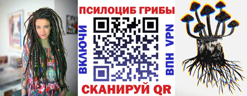 цены   Цимлянск  mega ТОР  Псилоцибиновые грибы мухоморы 