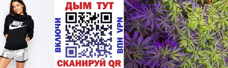 Шишки марихуана OG Kush  Цимлянск 